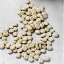 SALEM LUPIN BEANS